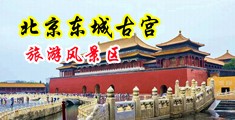小穴Av中国北京-东城古宫旅游风景区